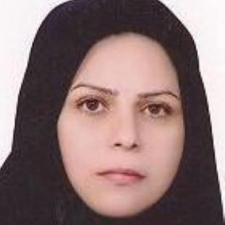 حضور در جمع ۲ درصد دانشمندان پراستناد برتر جهان در سال ۲۰۲۶